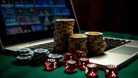 Explore the Exciting World of Amigo Wins & Sportsbook