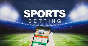Découvrez Betwinner  Votre Guide Complet pour les Paris Sportifs
